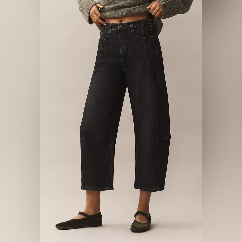 NWT Size 29 - The Kenna Mid-Rise Heritage Barrel Jeans by Pilcro Black - Picture 2 of 16